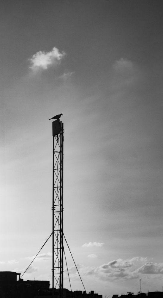 Photograph by Jankier Quincoces