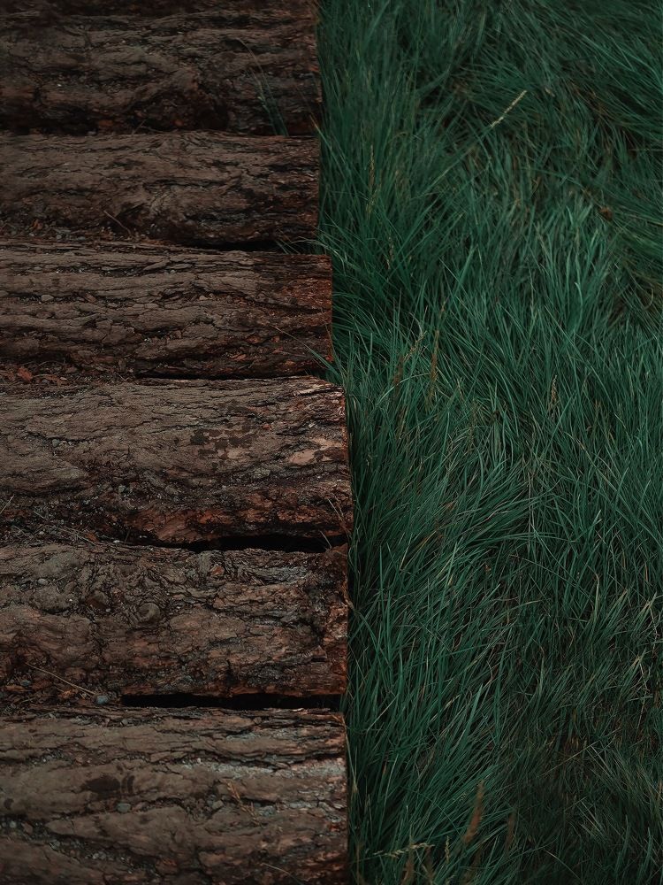 Photograph by Дарья Пысина