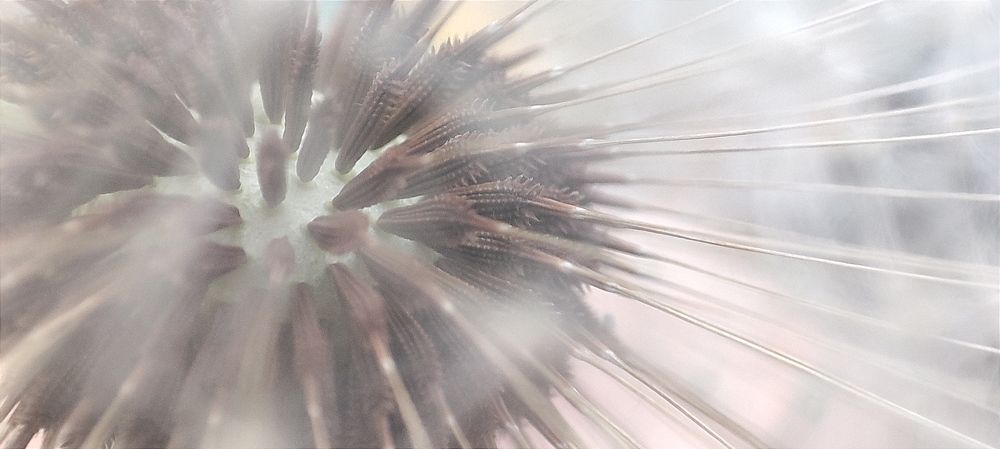 Photograph by Ирина Данилова