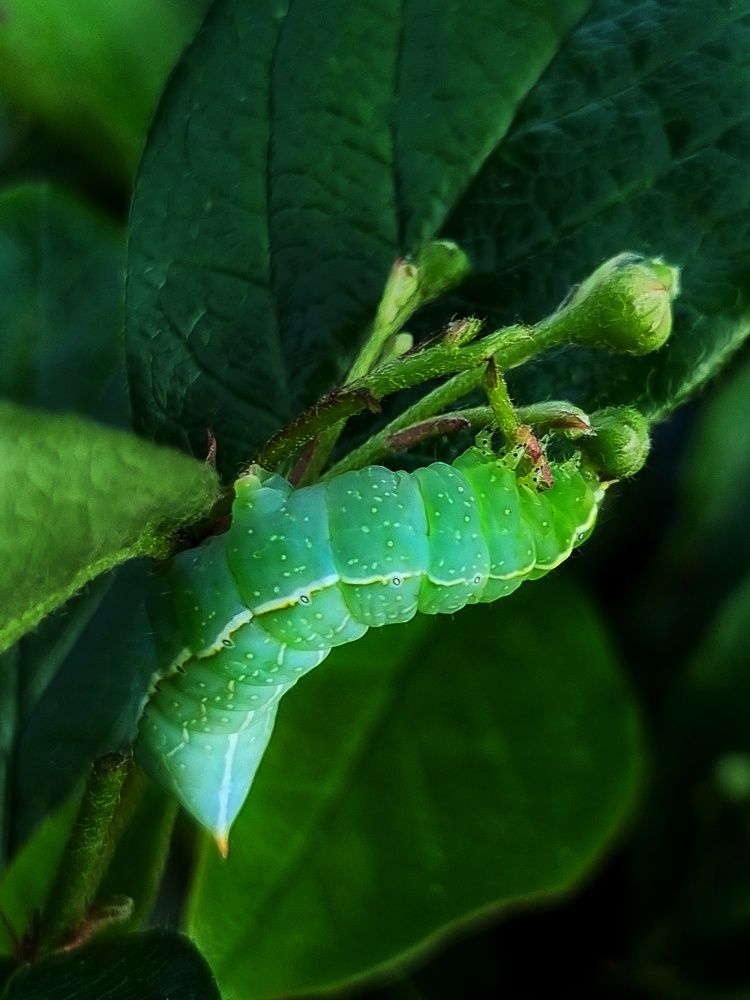 Photograph by Ольга