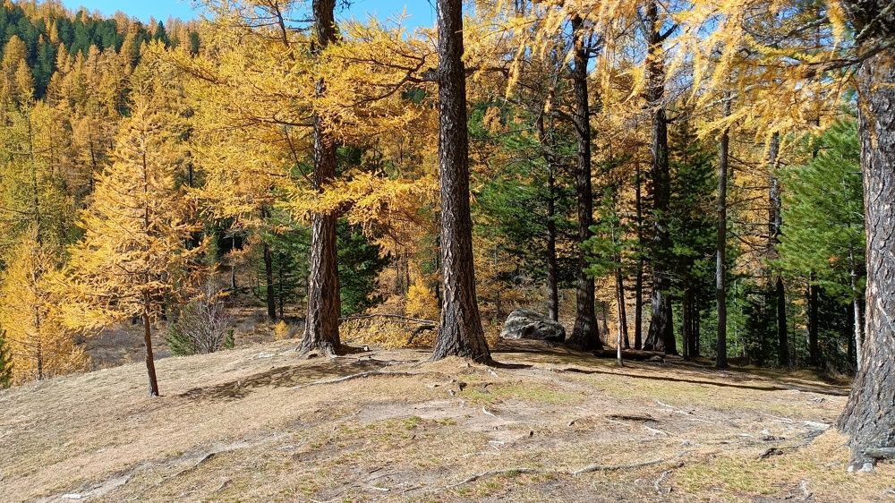 Photo #9713493