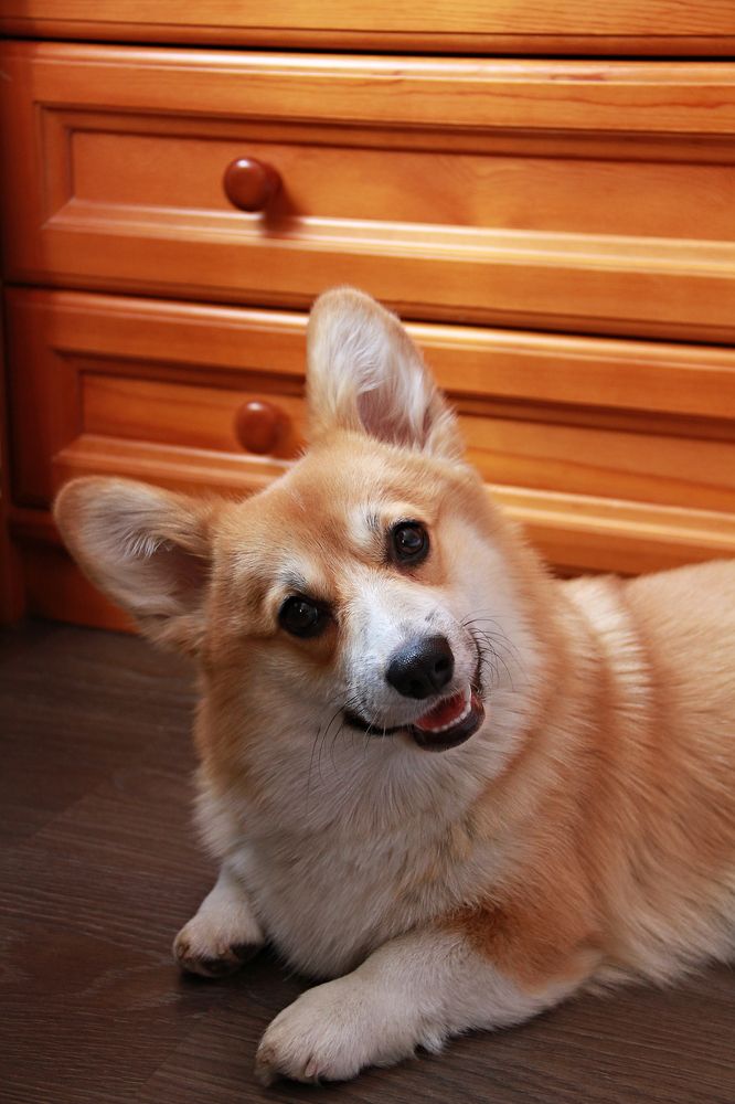 Фотография автора Галина Аверьянова