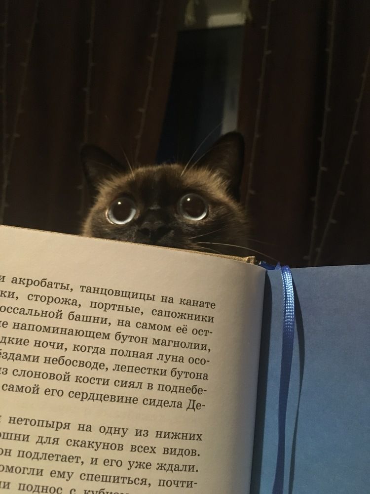 Photograph by Марина