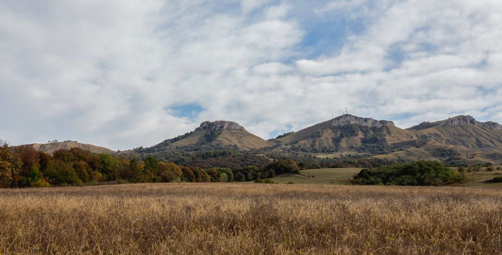 Предгорье Кавказского хребта