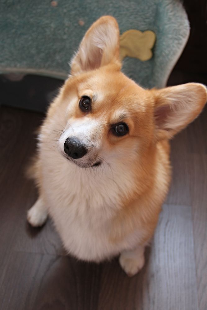 Фотография автора Галина Аверьянова