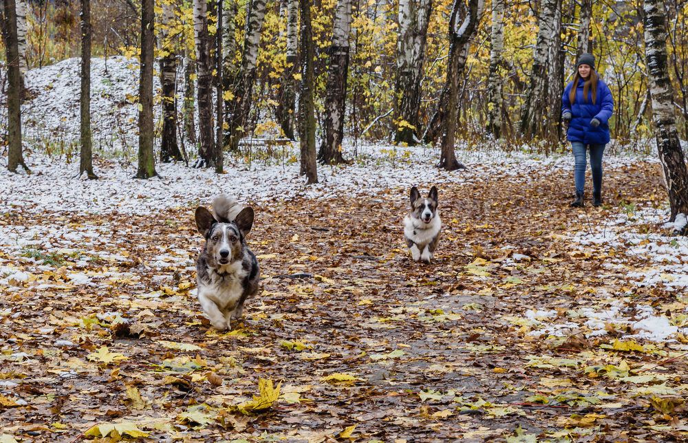 На прогулке
