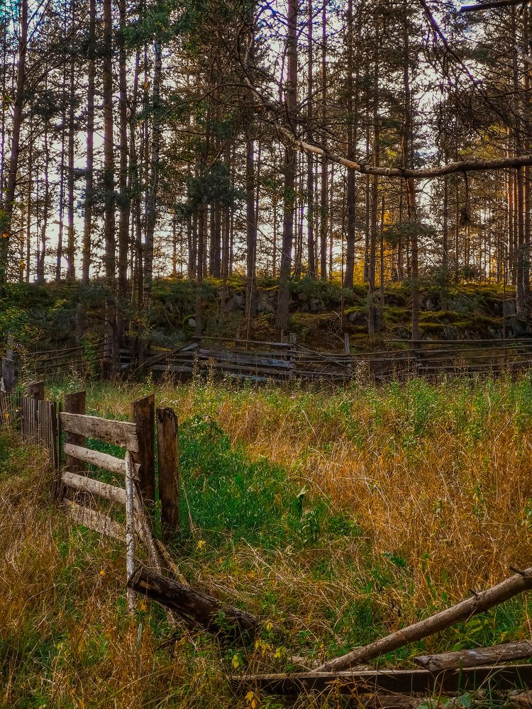 Photograph by Максим