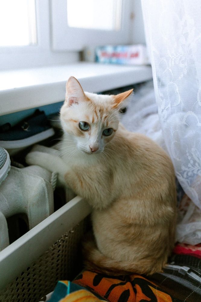 Photograph by Алена Полищук