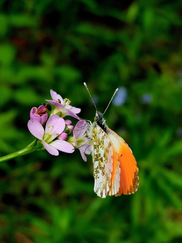 Photograph by Dafinka Sokoloska