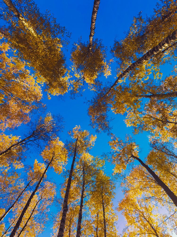 Photograph by Влад Апанасов