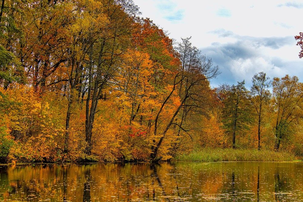 Photograph by Алексей Сиваков