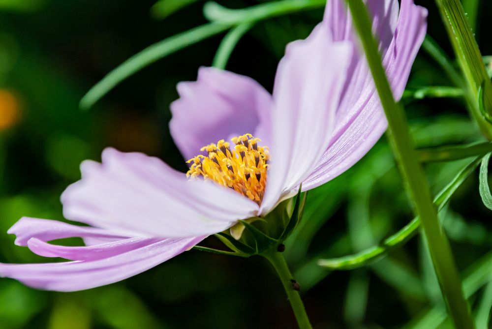 Photograph by Галина Патрушева