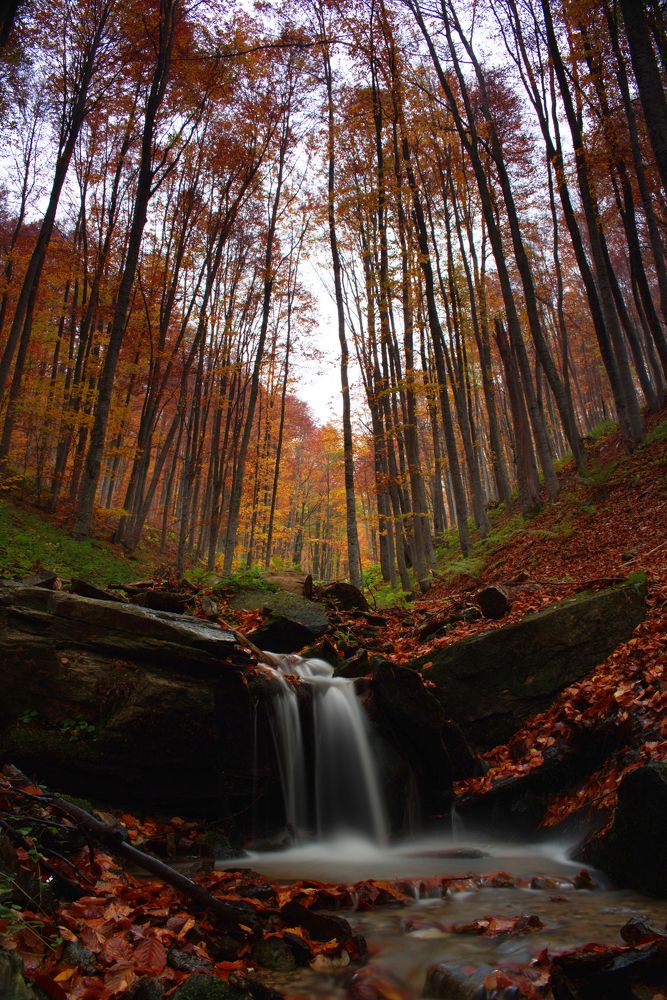 Photograph by ILIAS DIMITRIOU