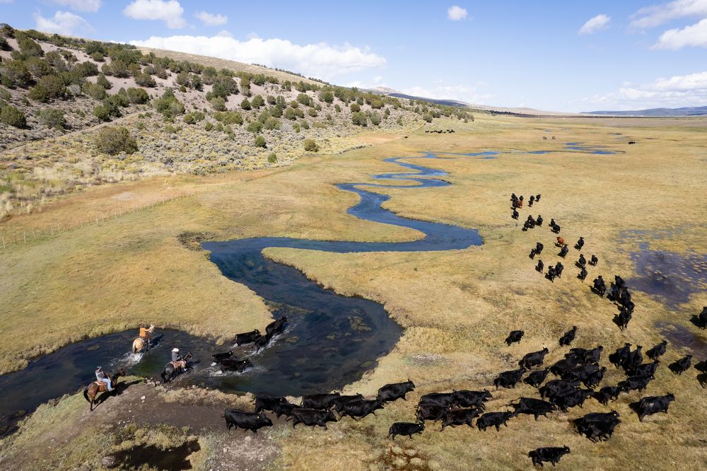 Photograph by Robert Stevens