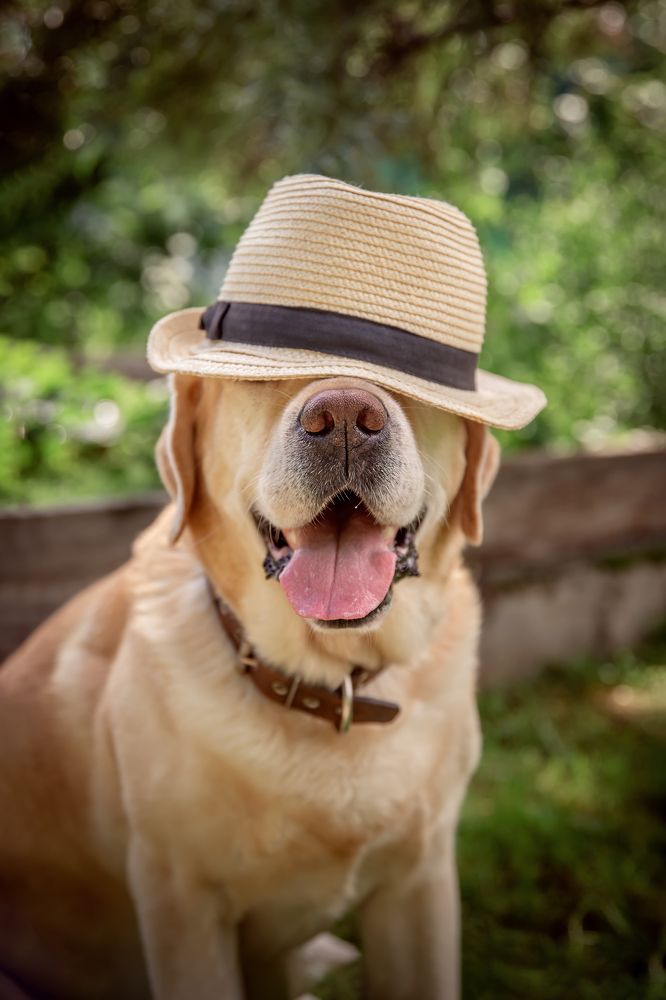 Photograph by Ольга Ильина