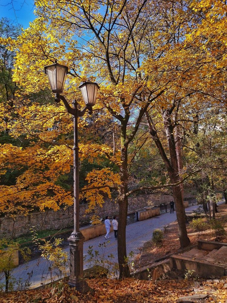 Photograph by Эльза Трисантович