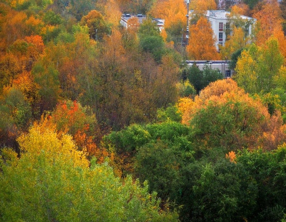 Photograph by Андрей Анисимов