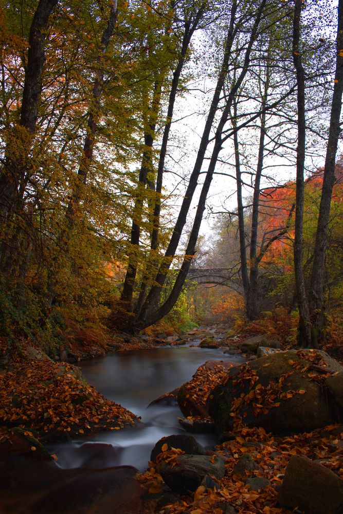 Photograph by ILIAS DIMITRIOU