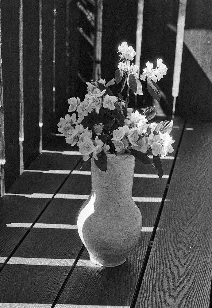 Photograph by Kuzmichev Alexey