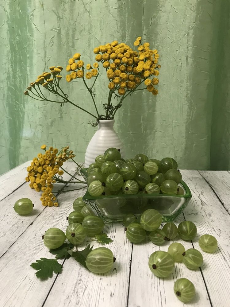 Photograph by Татьяна Шибанова