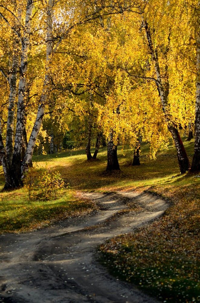 Photograph by Alexandr  Yatsenko