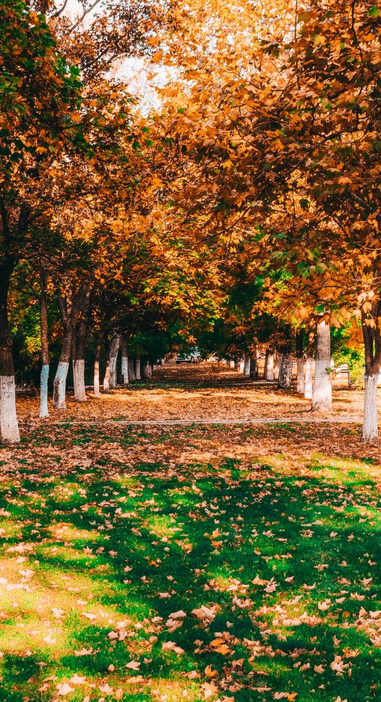 Photograph by Дмитрий Педченко