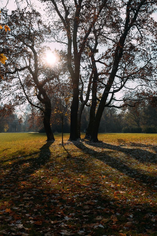 Photograph by Екатерина Карпова