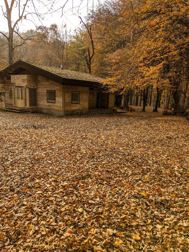 Photograph by mehdi shokravi