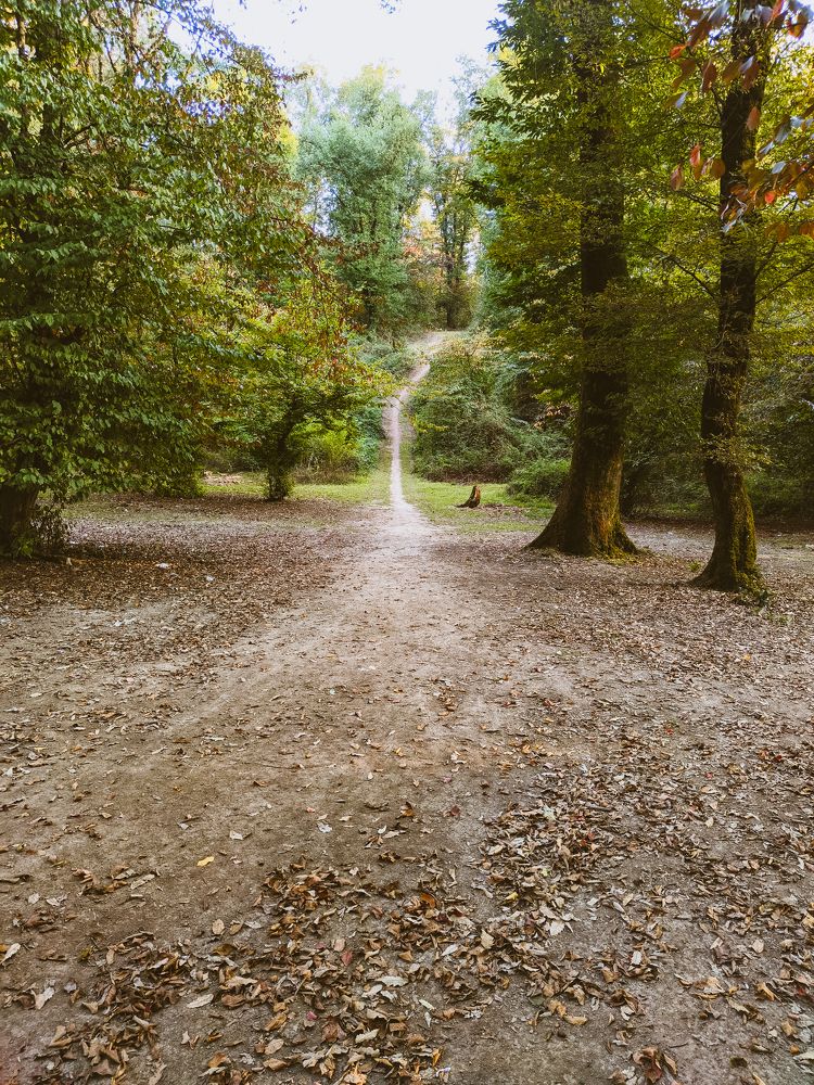 Photograph by mehdi shokravi