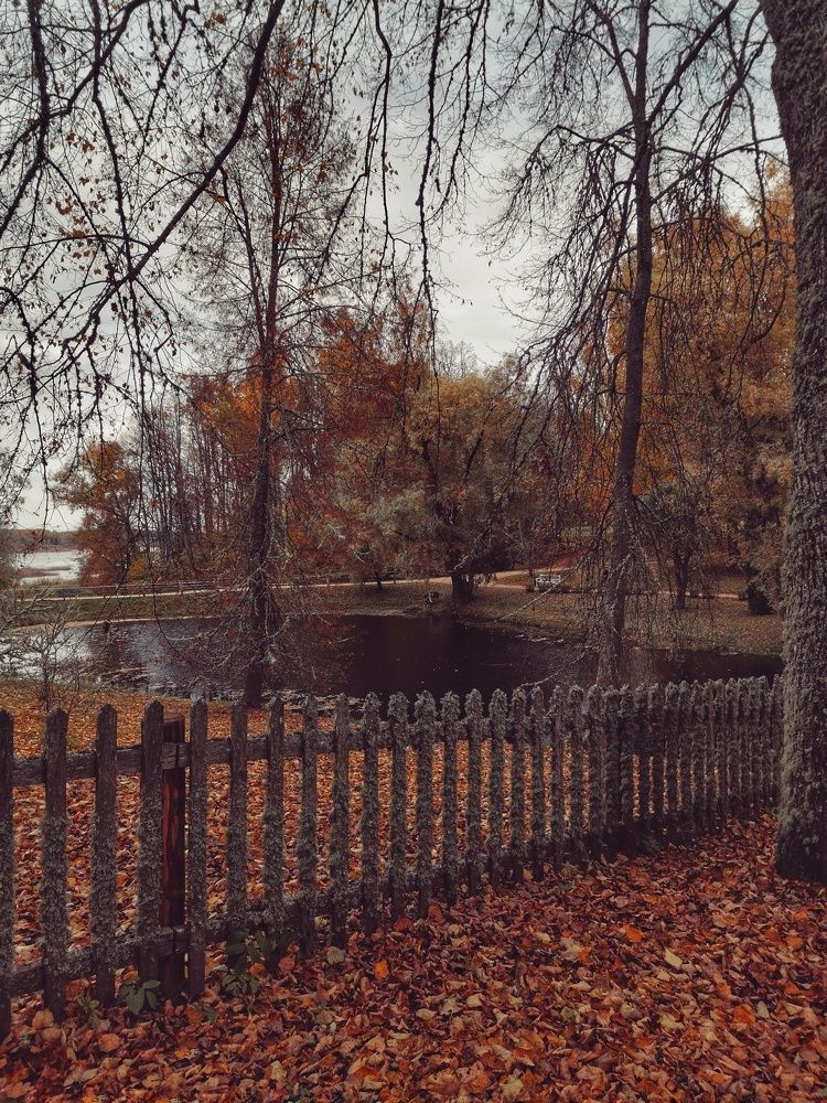 Photograph by Наталья Кондрашова