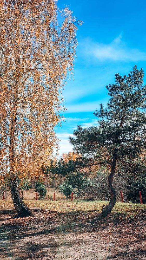 Photograph by Катерина Магало