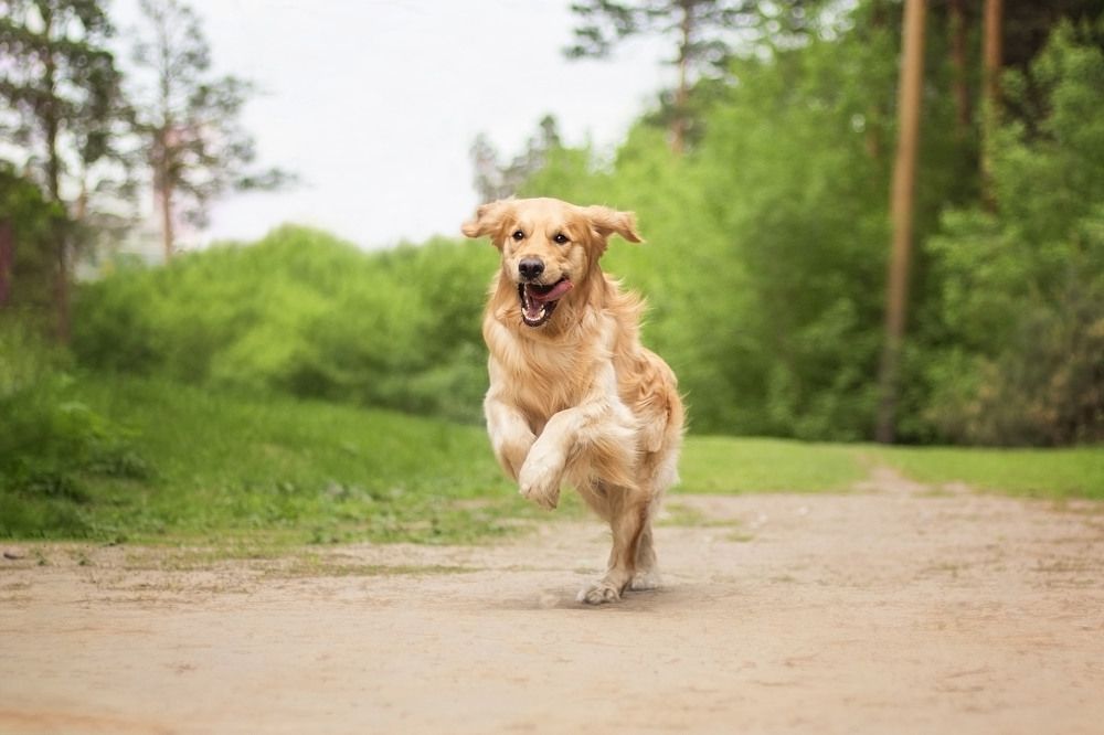 Фотография автора Екатерина Атавина