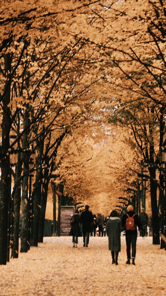 Photograph by 