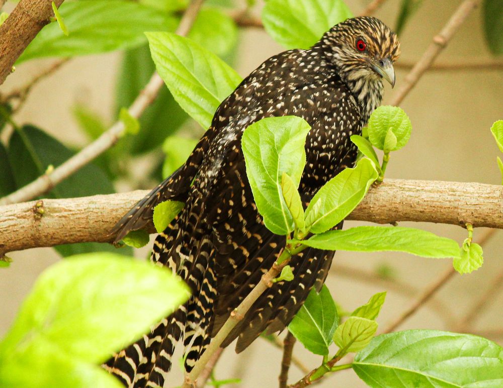 Photograph by Kapilesh Gujarathi