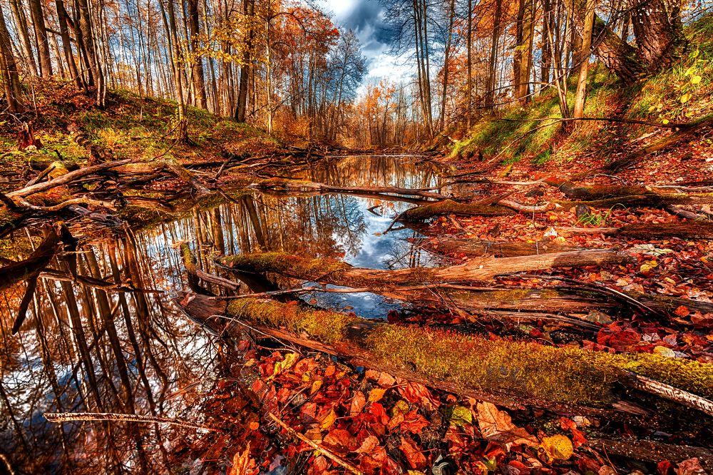 Photograph by Сундеев Дмитрий