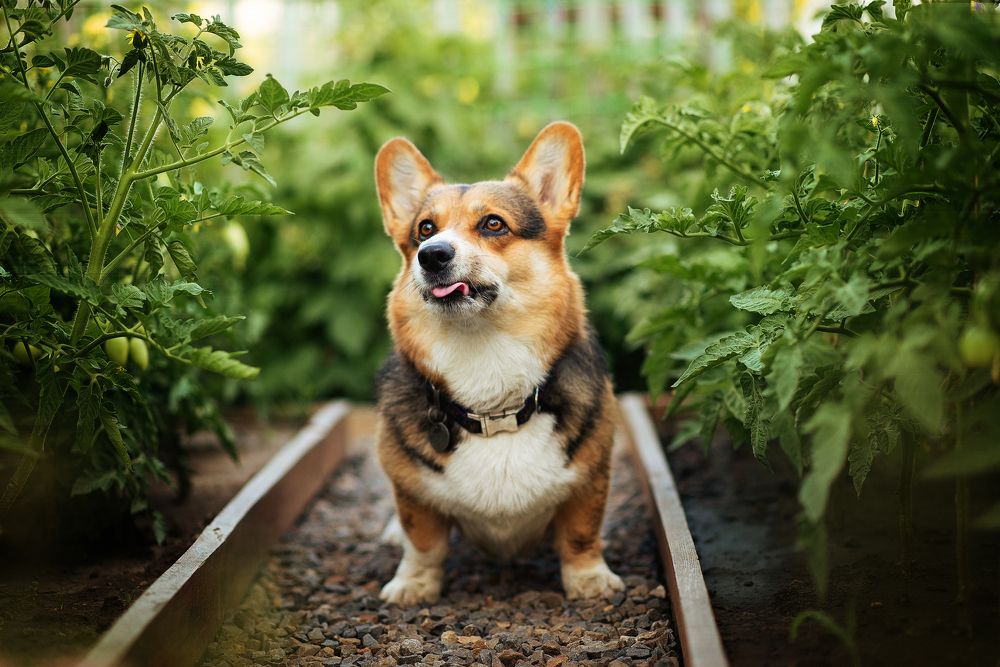 Photograph by Нина Дубровина