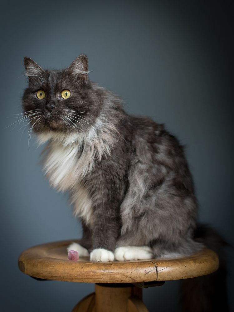 Photograph by Наталья Брюхненко