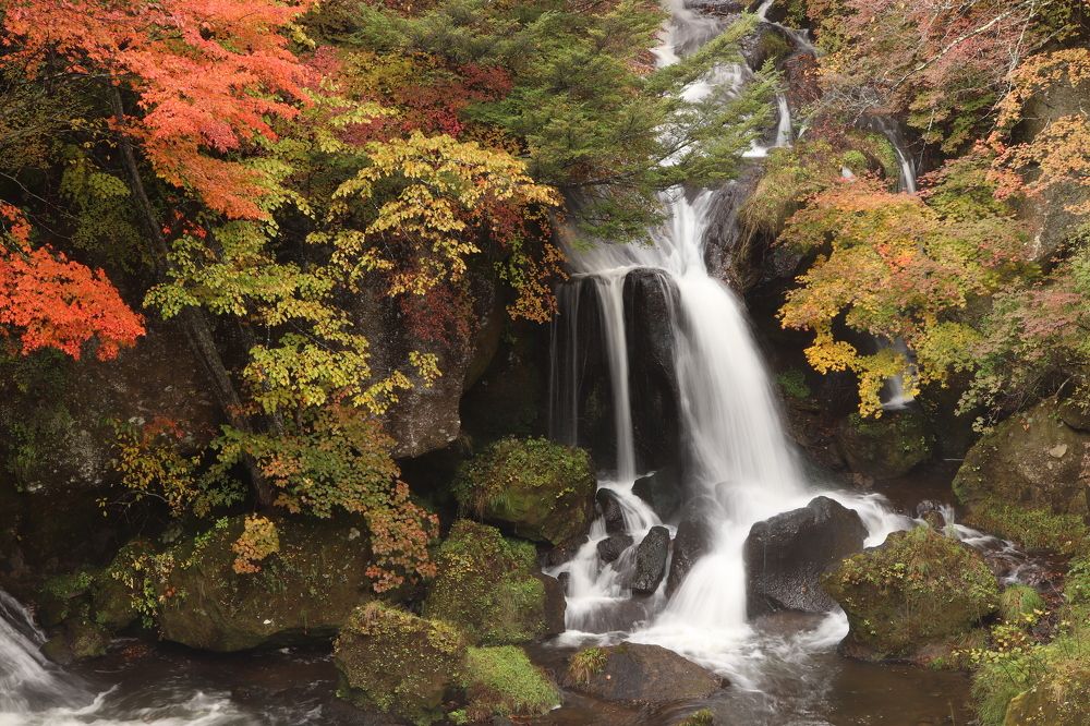 Photograph by Se Lena