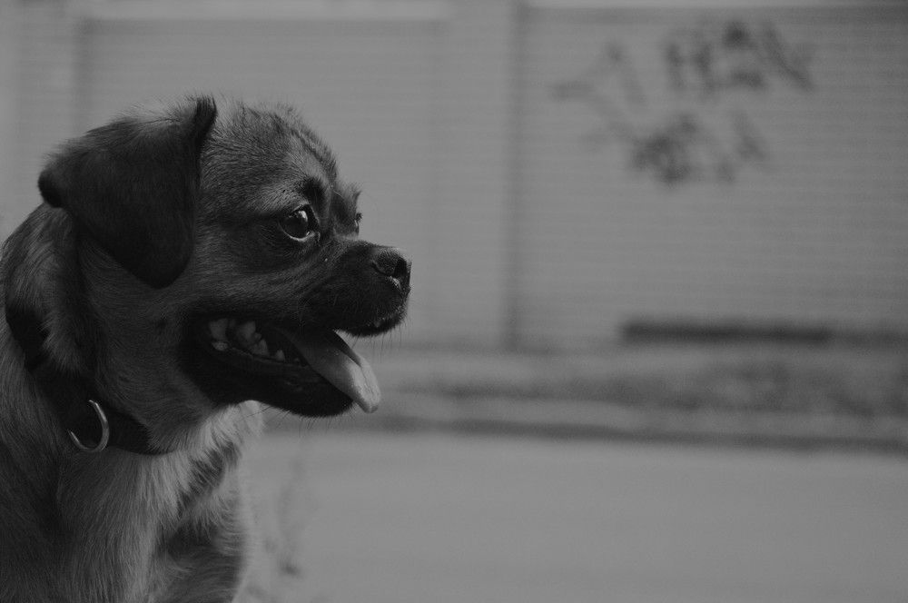 Photograph by Ольга Шевцова