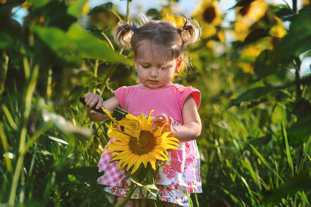 Фотография автора DanPav