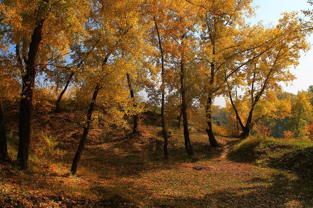 Photograph by Курочкина Диана