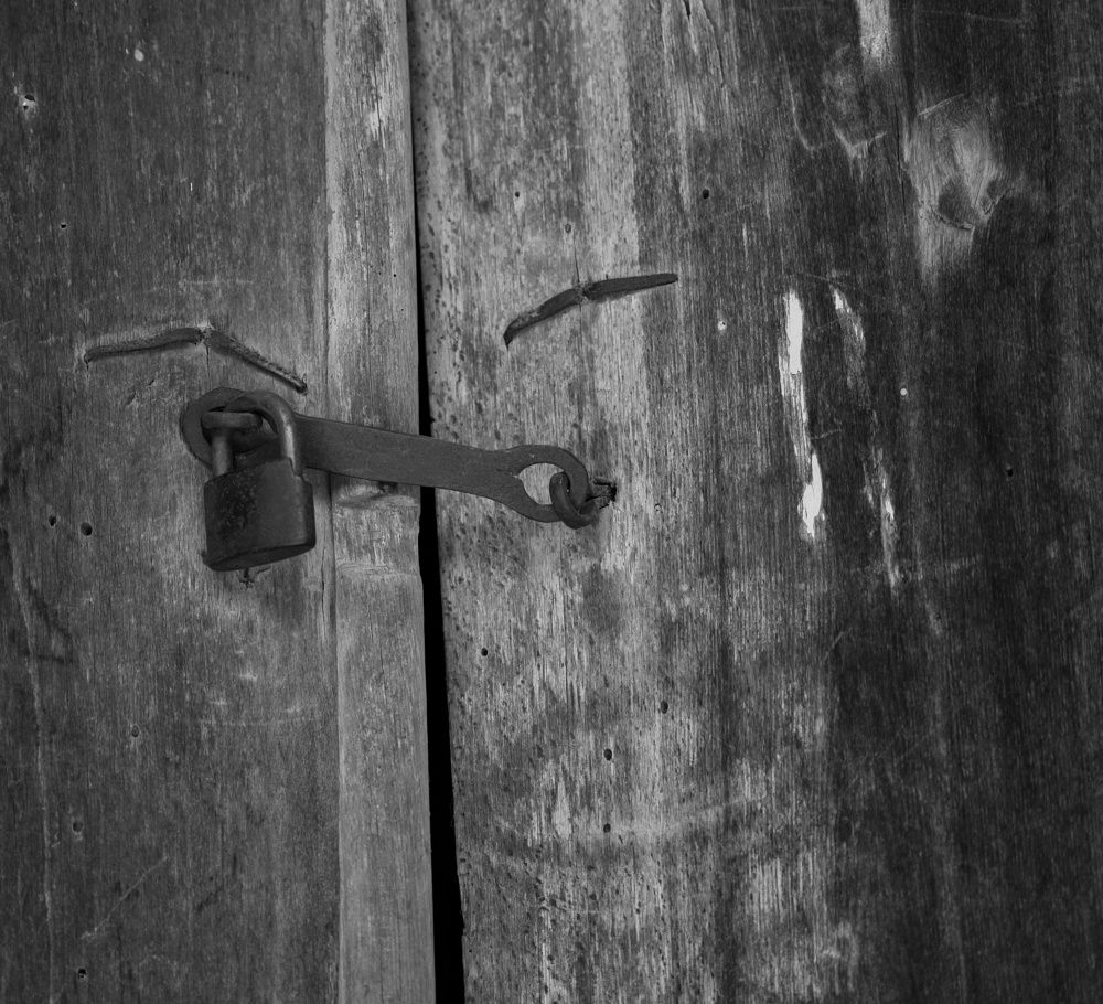 Photograph by maziar zahmatkesh