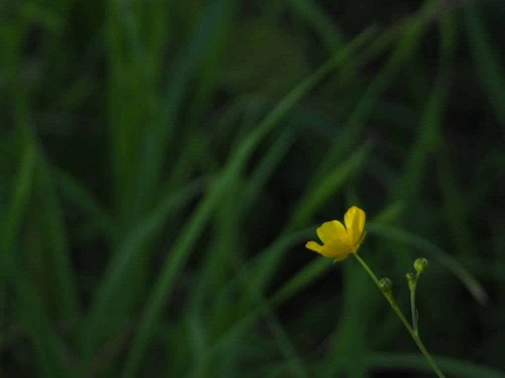 Photograph by Ольга