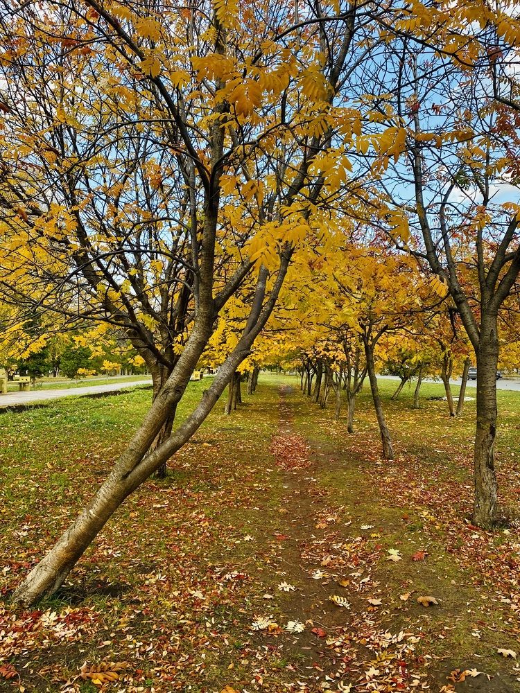 Фотография автора ГУЗАЛИЯ ГАНИЕВА
