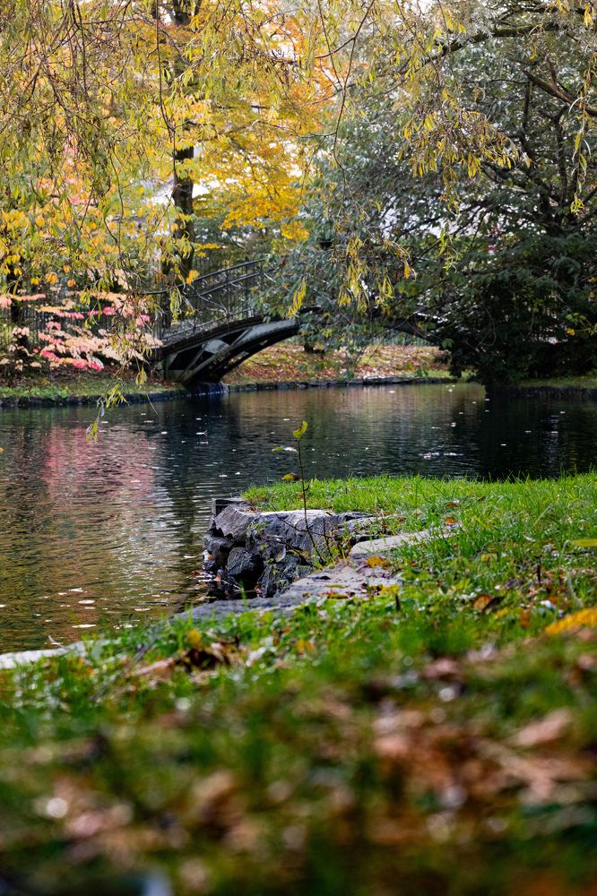 Photograph by Ірина Чумакова