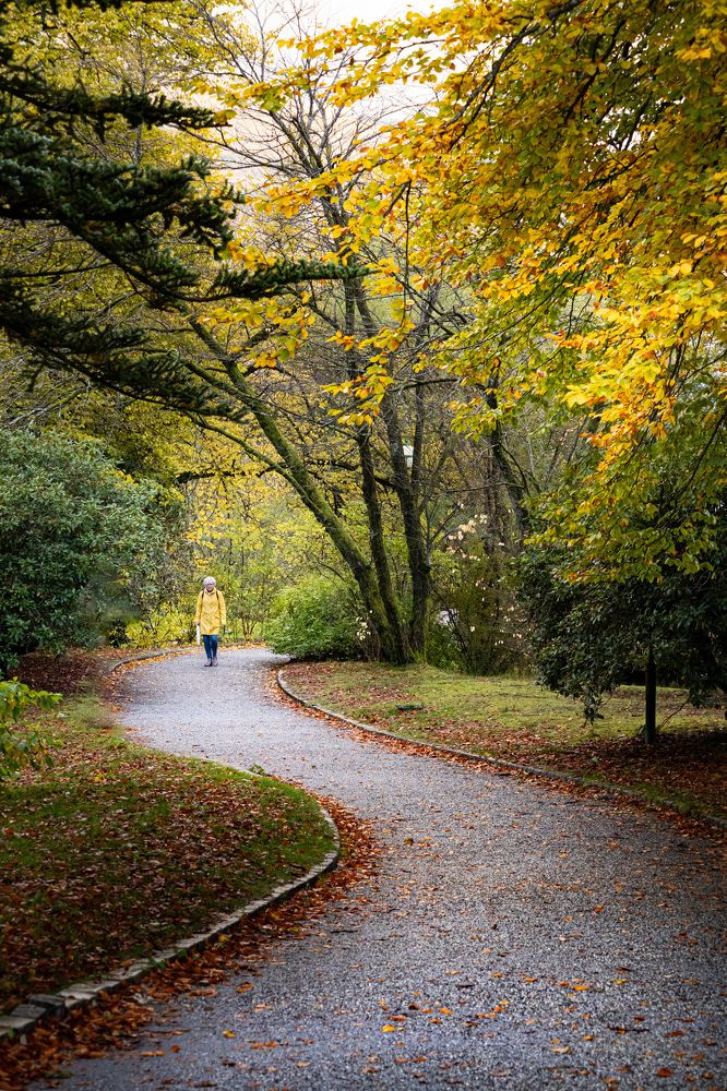 Photograph by Ірина Чумакова