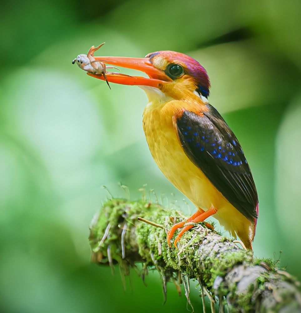 Photograph by Vishal Parmar