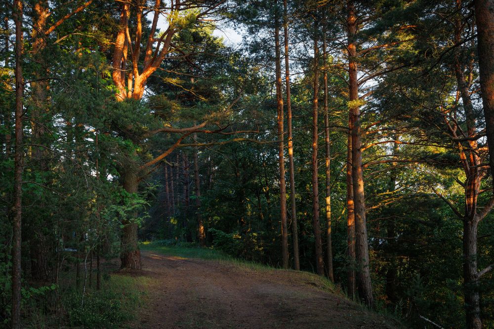 Photograph by ataris