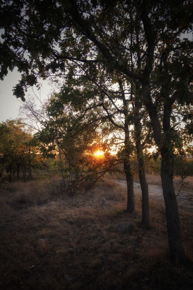 Photograph by Станислав Илюк