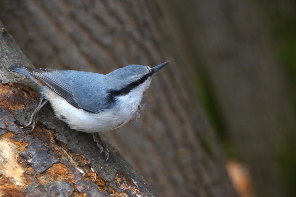 Photograph by Ирина Вассерлауф